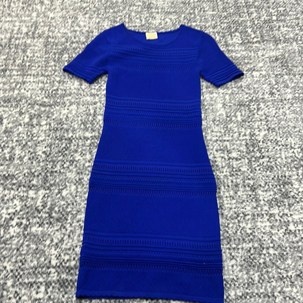 Torn by Ronny kobo dress